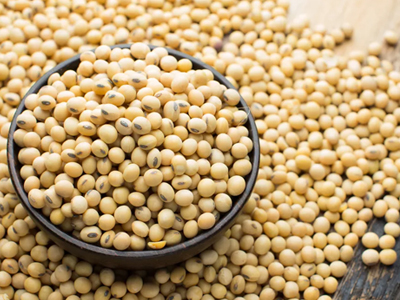 Soya bean