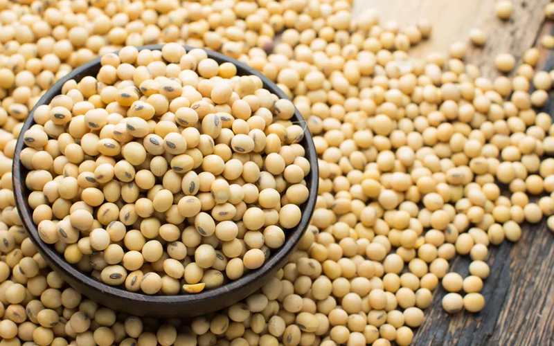Soya bean